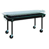 Grill 2'X 5' Charcoal With Screw-In Legs ** For Sale $250