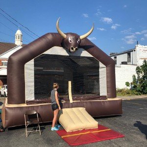 Funhouse Bull Head Bouncer