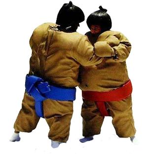 Sumo Wrestling Inflatable